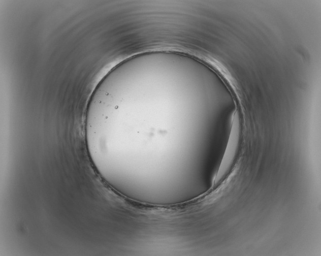 X0000114591097200911091252