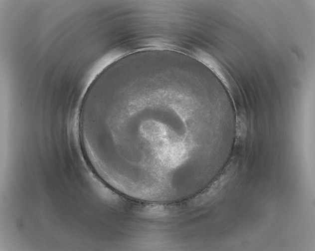 X0000114591098200911091252