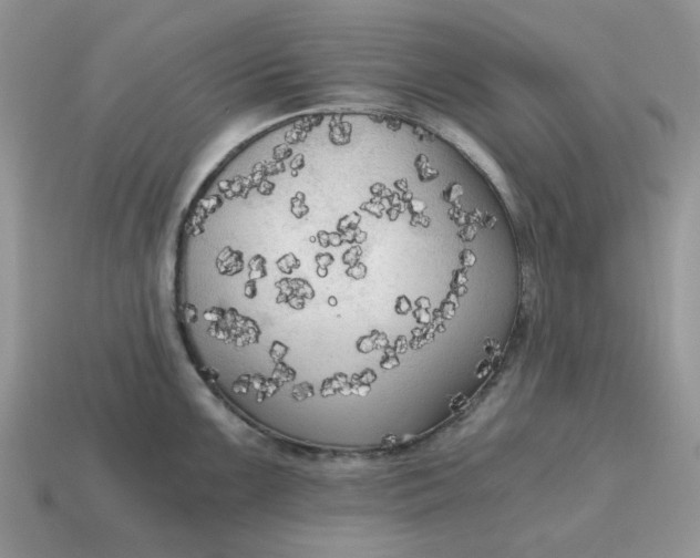 X0000114591099200911091252