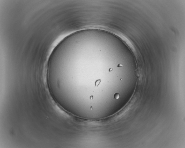 X0000114591102200911091252