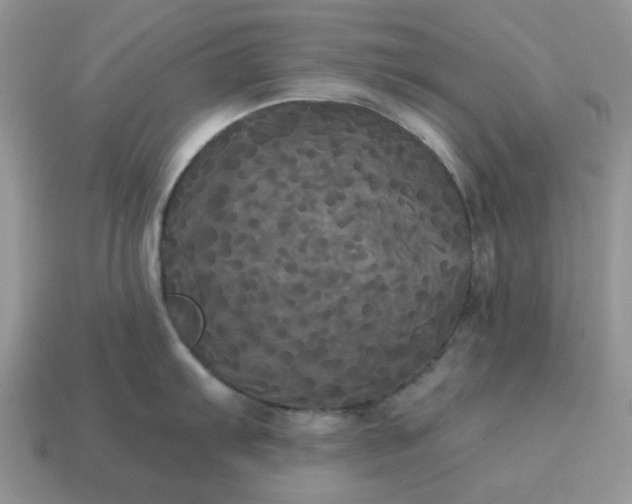 X0000114591103200911091252