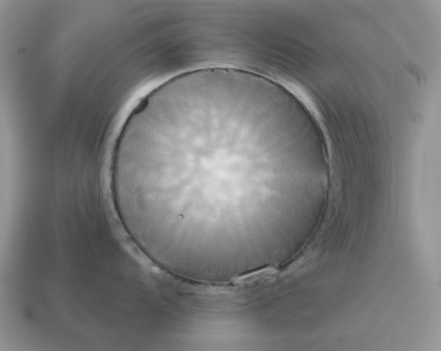 X0000114591104200911091251