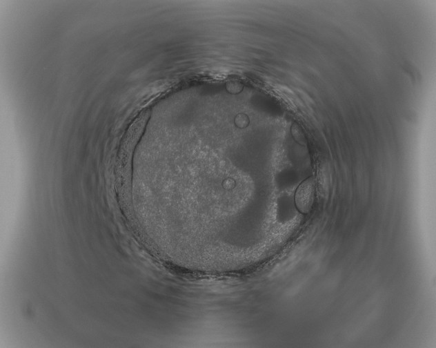 X0000114591105200911091251