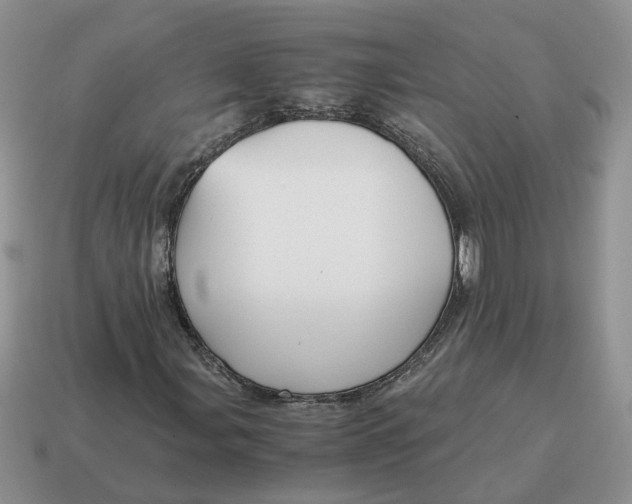 X0000114591107200911091251