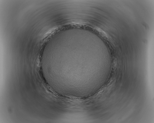 X0000114591110200911091251