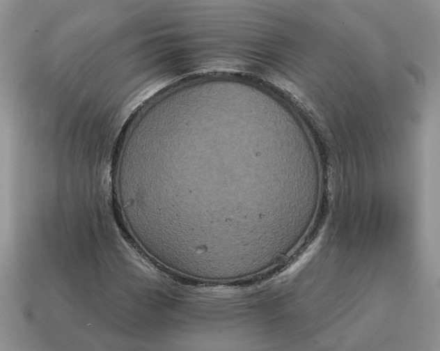 X0000114591113200911091251