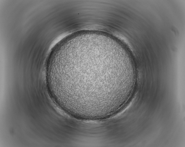 X0000114591114200911091251