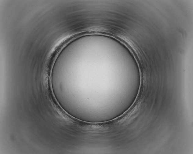 X0000114591115200911091251