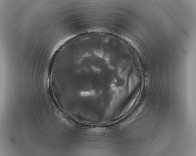 X0000114591117200911091251