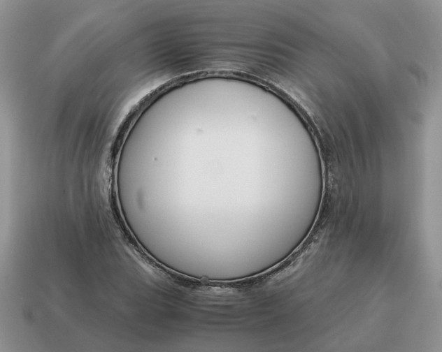 X0000114591119200911091251