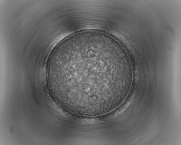 X0000114591121200911091251