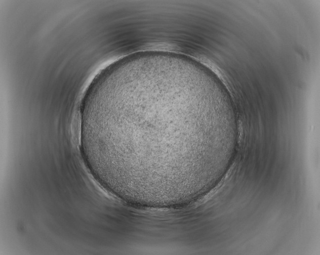 X0000114591123200911091251