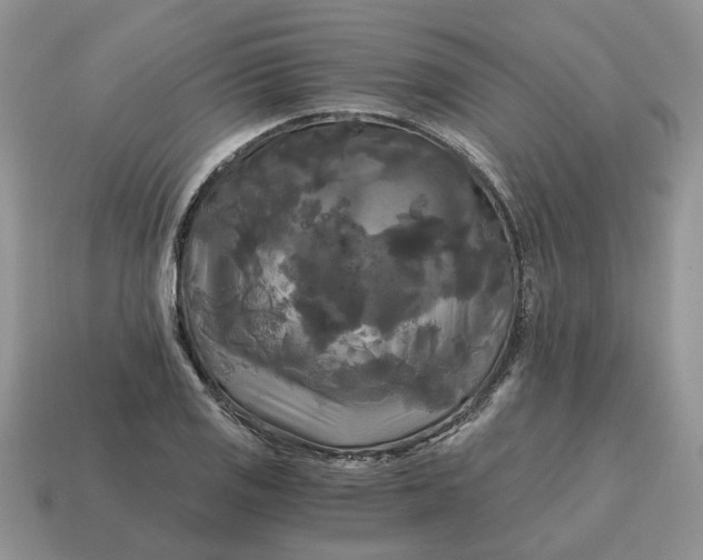 X0000114591125200911091251