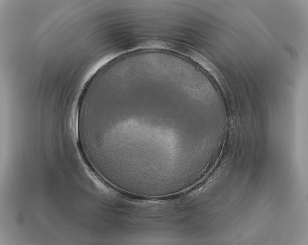 X0000114591127200911091251