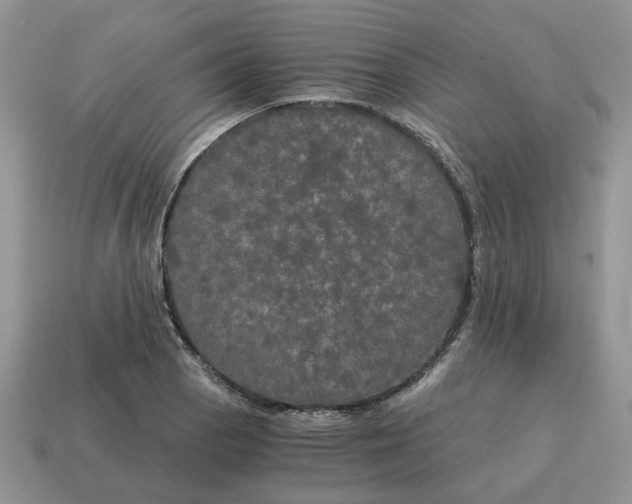 X0000114591129200911091251