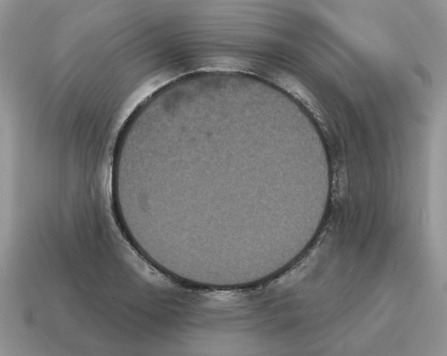 X0000114591130200911091251