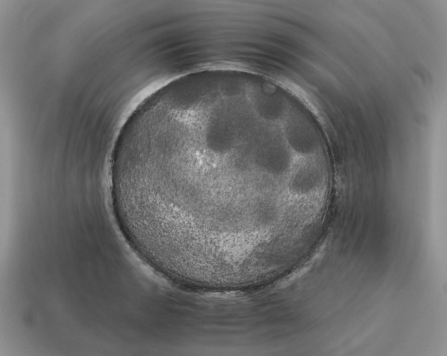 X0000114591133200911091251