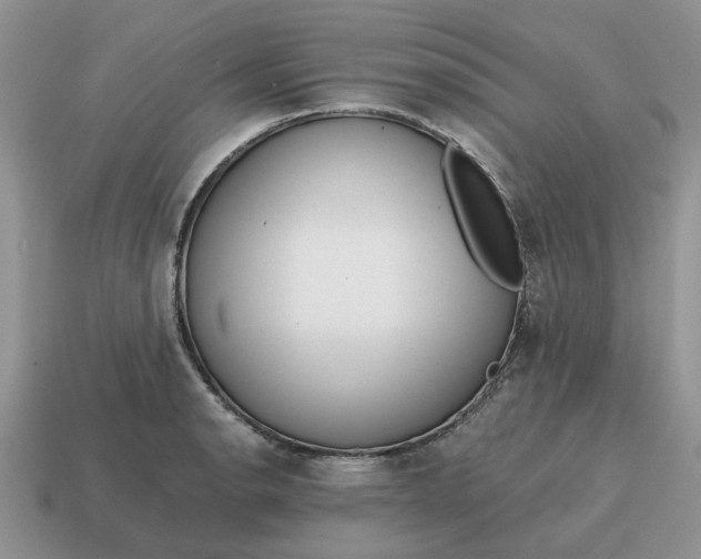 X0000114591134200911091251