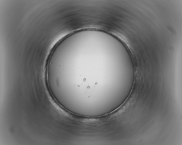 X0000114591135200911091251