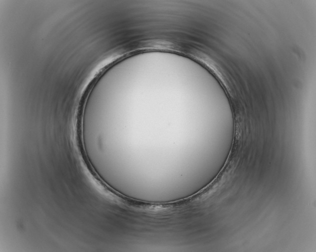 X0000114591139200911091251