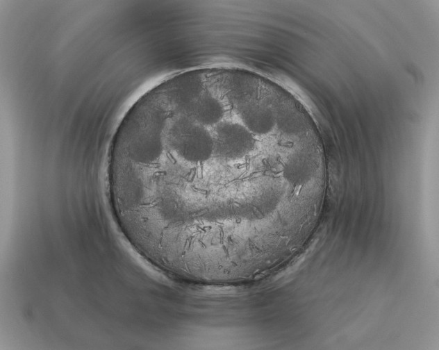 X0000114591142200911091251