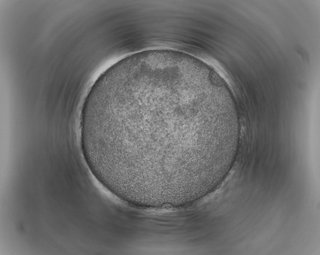 X0000114591143200911091251