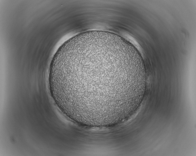 X0000114591146200911091251