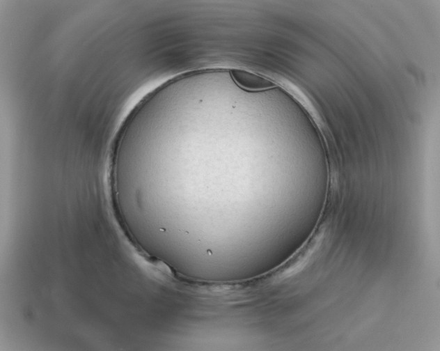 X0000114591149200911091251