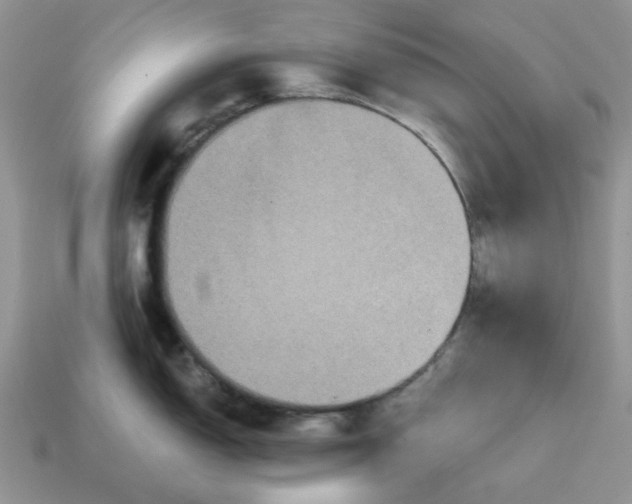 X0000114591150200911091251