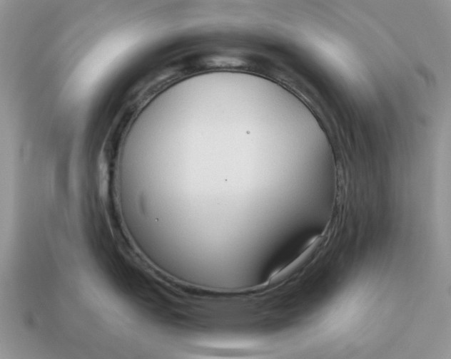 X0000114591151200911091251