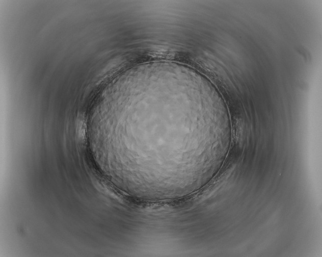 X0000114591154200911091251