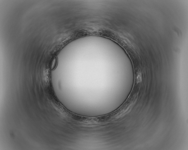 X0000114591156200911091251