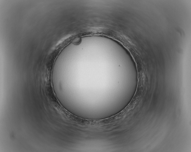 X0000114591158200911091251