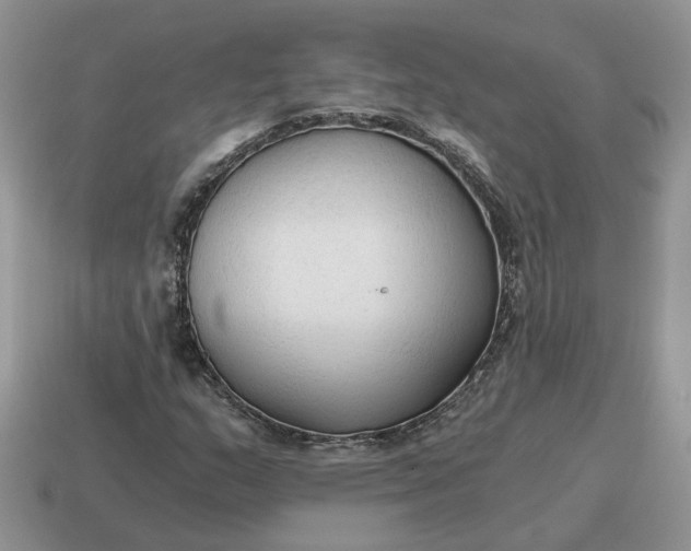 X0000114591159200911091251