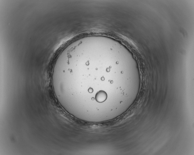 X0000114591160200911091251