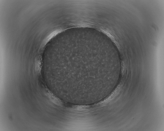 X0000114591163200911091251