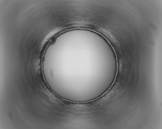 X0000114591164200911091251