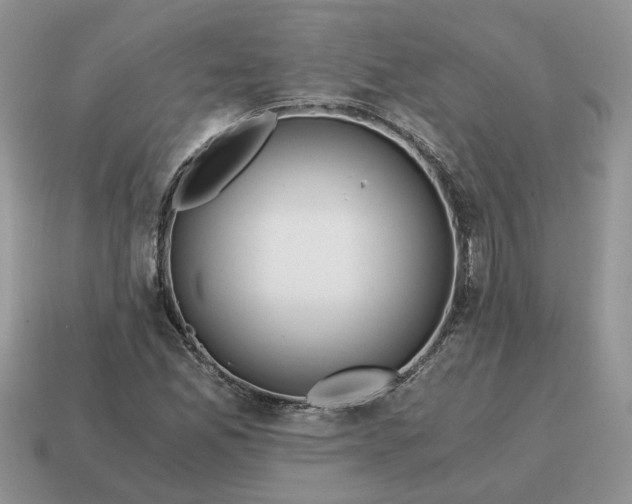 X0000114591165200911091251