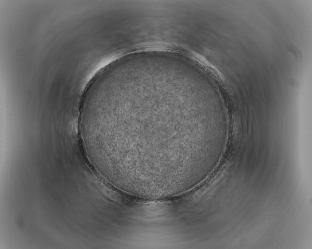 X0000114591166200911091251