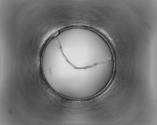 X0000114591167200911091251