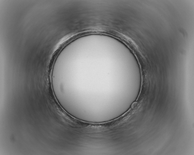 X0000114591168200911091251