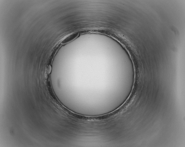 X0000114591169200911091251