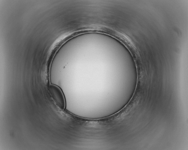 X0000114591172200911091251