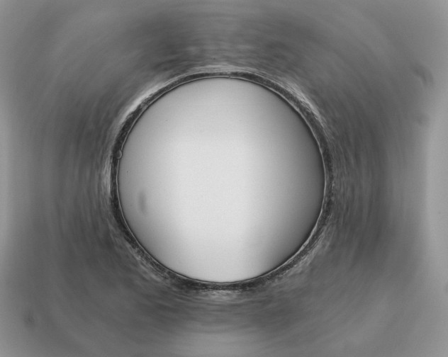 X0000114591173200911091250