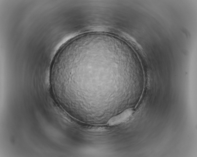 X0000114591174200911091250