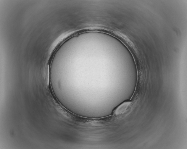 X0000114591175200911091250