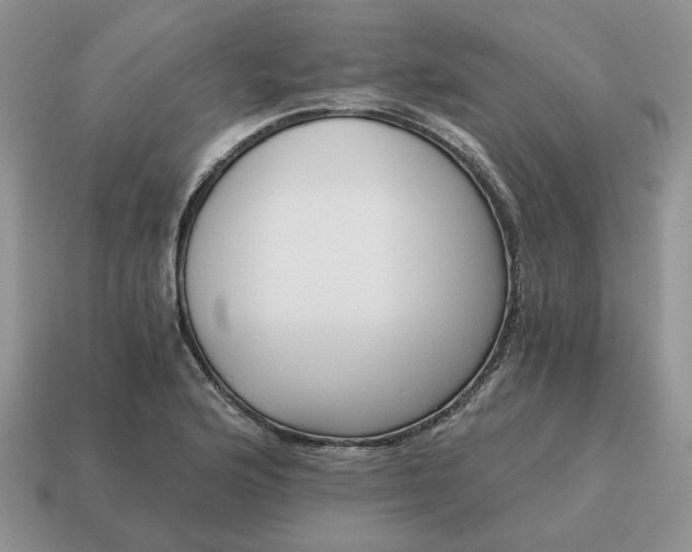 X0000114591176200911091250