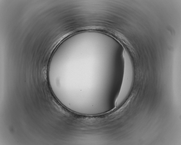 X0000114591177200911091250