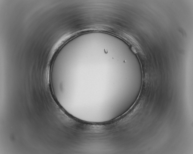 X0000114591180200911091250