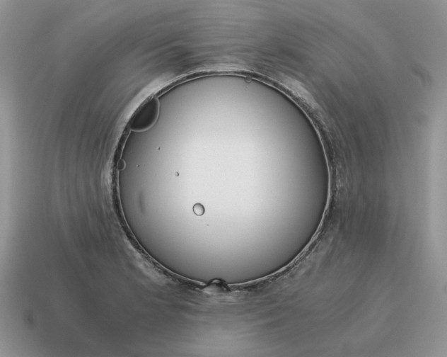 X0000114591181200911091250